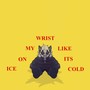 ICE ON MY WRIST LIKE IT'S COLD (Explicit)