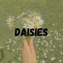 Daisies