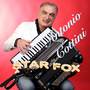 STAR FOX