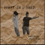 What Do U Need (feat. aintthatG3) [Explicit]