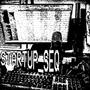 startup_seq