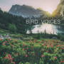 Bird voices