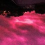 Pink Skies (feat. wekk$tar) [Explicit]