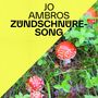 Zündschnüre-Song