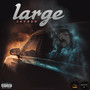 Large (Explicit)