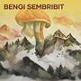 Bengi Sembribit