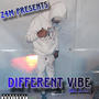 Different Vibe (All Alone) [Explicit]