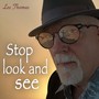 Stop Look and See