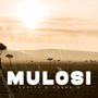 Mulosi (Radio Edit)