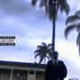 Luv & Leev You (Explicit)