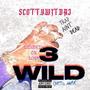 3 wild (Explicit)