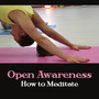 Open Awareness: How to Meditate - Aliveness of Sounds, Relaxing Back into Presence, Increase Calmness, Joy