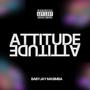 Attitude (Explicit)