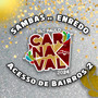 Sambas de Enredo 2024 - Acesso de Bairros 2