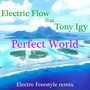 Perfect World (Electro Freestyle remix)