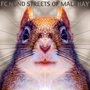 Streets of Malahay (2001 Expanded)