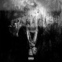 Dark Sky Paradise (Deluxe) [Explicit]