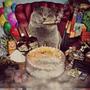 Happy Birthday Lingball (Explicit)