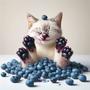 BLUEBERRY CAT (feat. narcix)