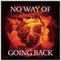 No Way of Going Back (feat. A Casa Vazia & Dri)