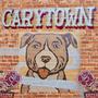 Carytown