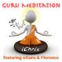 Guru Meditation (Radio Single)