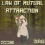 Law Of Mutual Attraction (Explicit)