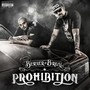 Prohibition (Explicit)