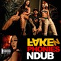 Fake n Phonies (Explicit)