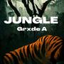 Jungle (Explicit)