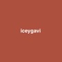 Icey's