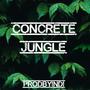 Concrete Jungle (feat. Yahnahn, Silence & Bma) [Explicit]