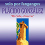 Solo por Fandangos. Mi Calle, el Barrio