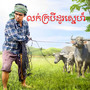 លក់ក្របីដូរស្នេហ៍