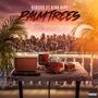 Palm Trees (feat. King Kipp) [Explicit]