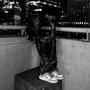 Monday (feat. 3dagoon) [Explicit]