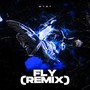 Fly (Remix)