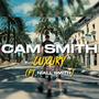 Luxury (feat. Niall Smith) [Explicit]