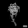 Thorns On A Rose (Explicit)