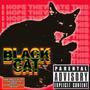 BLACK CAT (Explicit)