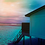 Paradise 25'