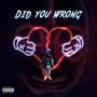 Did you wrong (Explicit)