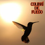 Colibrí de Fuego