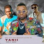 Yanii (feat. Lovy Mshairi & Wyse Tz)