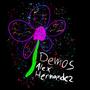 The Flower Demos