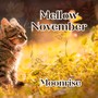 Mellow November