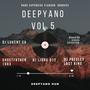 Deepyano Vol 5 (Rare Expensive Flavour grooves) (Album)