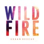 Wildfire