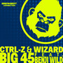Big 45