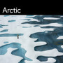 Arctic